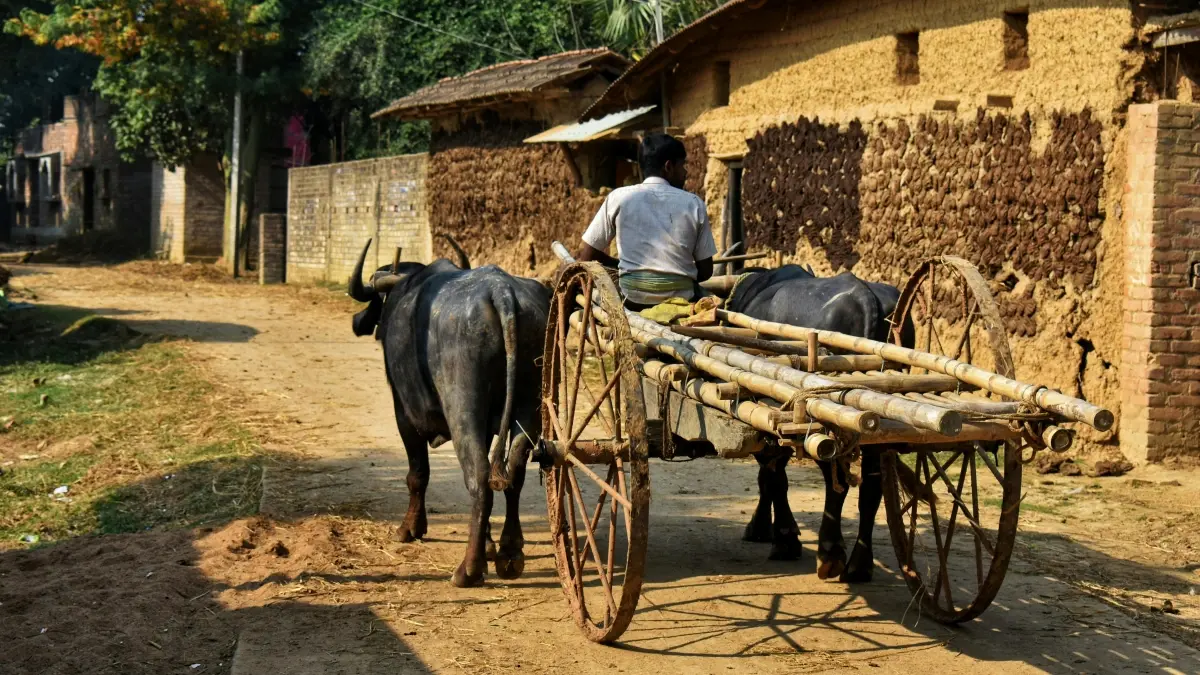 Lineෙන් අයිස්ලන්ත බ්\u200dරෑන්ඩ්වලට ළඟා වීමේ ක්\u200dරම