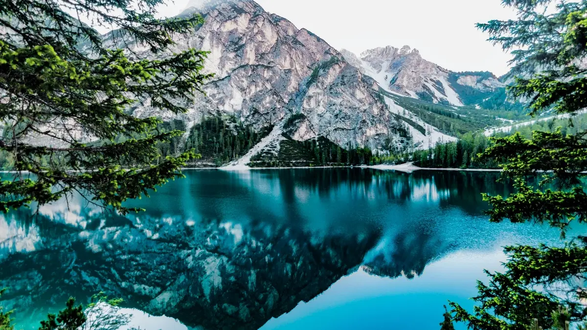 Sri Lanka advertisers: Find Swiss Bilibili creators fast