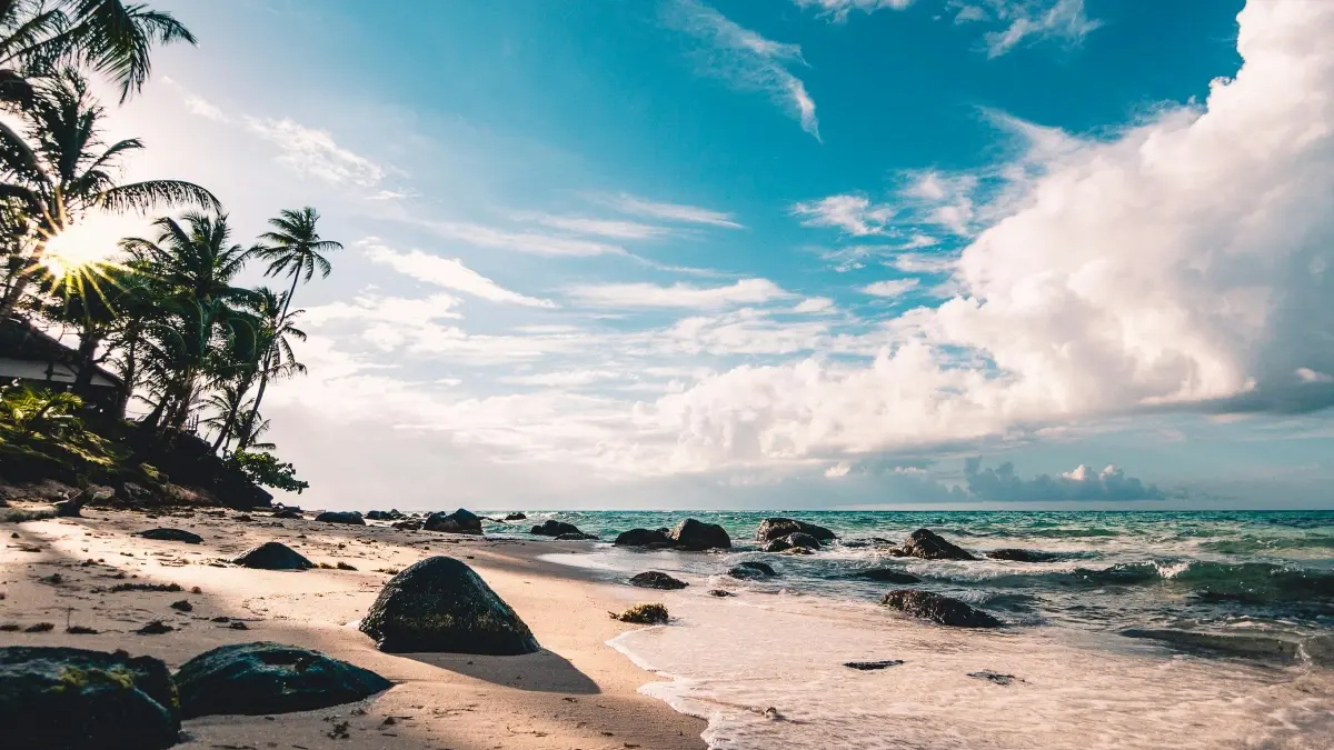 ඔබට අවස්ට්\u200dරියාවේ Kuaishou නිර්මාණකරුවන් හොයාගන්නා ආකාරය (Sustainability කැම්පේන් සදහා)