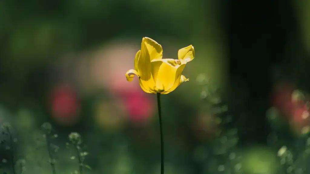 Threads Communities හරහා යුක්රේනීය creators හඳුනාගැනීම, පරීක්ෂණ දත්ත සහ ප්‍රායෝගික outreach ක්‍රම. Meta Communities වෙත පදනම්ව සැලසුම්.