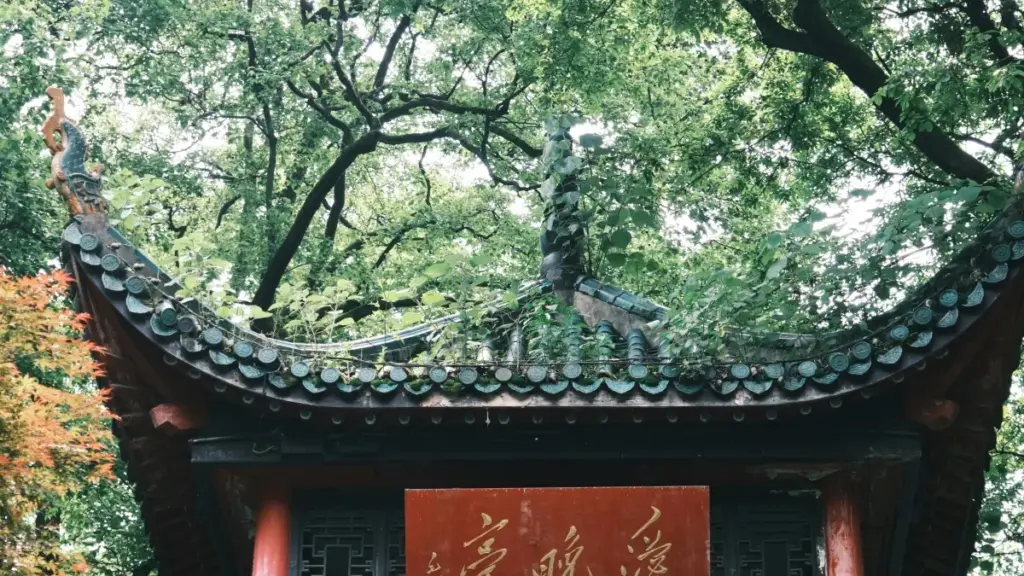 ශ්‍රී ලාංකික වෙළඳසැල් සඳහා: ඔමාන් YouTube නිර්මාණකරුවන් fixed‑fee ප්‍රචාරණ ගිවිසුම් සඳහා හොයාගැනීම, सहි පියවර, සාකච්ඡා රටා සහ අවදානම්.