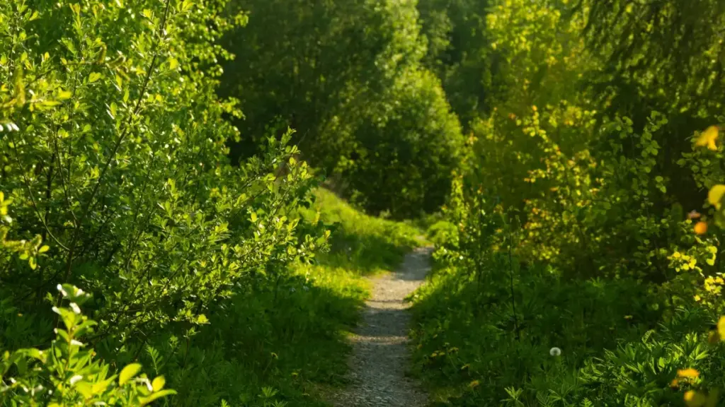 පේරු Shopee creators හොයාගෙන co-branded product drops හදන හැටි, Amaze x Perez Hilton වගේ real-time momentum භාවිතයෙන් market-fit නිර්මාණය කිරීමේ ප්‍රායෝගික ක්‍රියාමාර්ග.