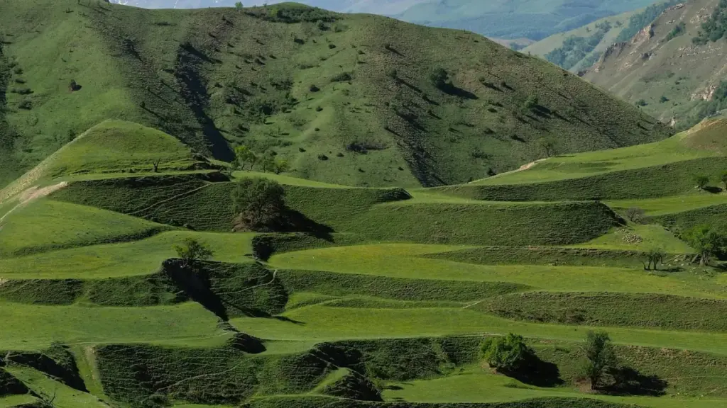 සෞඛ්‍යමය බ්‍යාුටි සිද්ධියට uygun Serbia Rumble නිර්මාණකරුවන් සොයාගෙන, Sri Lanka වෙළඳ දැන්වීම් සඳහා visibility වැඩි කරන ප්‍රායෝගික මාර්ග සහ උපදෙස්.