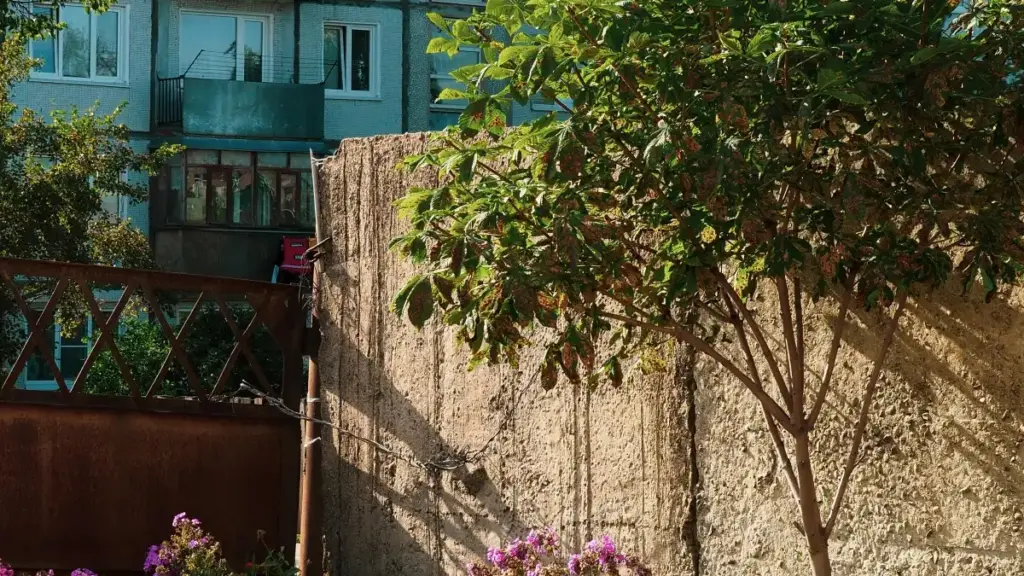 Sri Lanka brands සඳහා Ukraine Douyin creators හොයාගන්න ප්‍රායෝගික guide එක — where to search, outreach tactics, risk checks සහ campaign ideas.