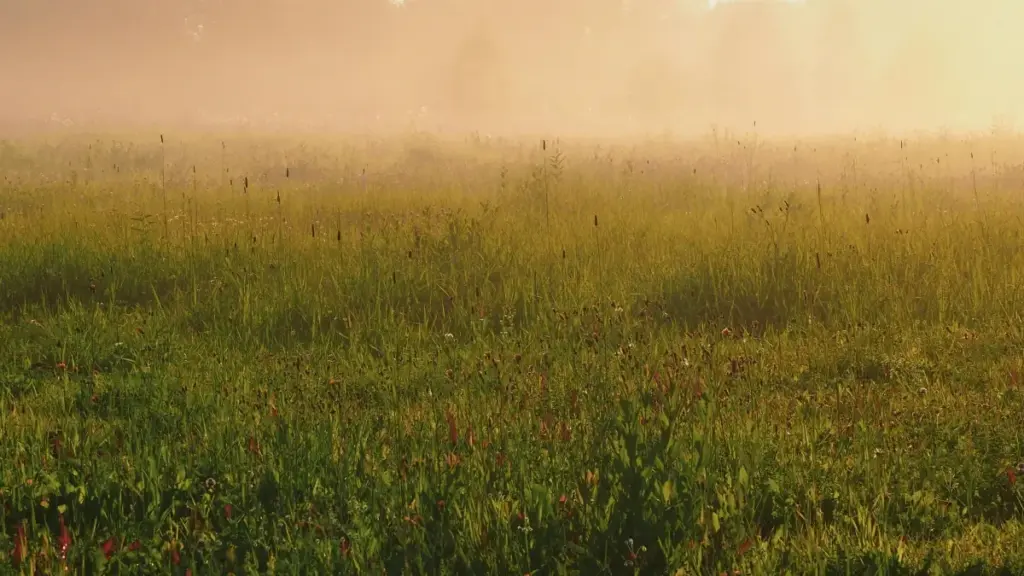 Taobao හරහා බල්ගේරියා බ්‍රෑන්ඩ් සම්බන්ධ කරගෙන BTS/behind-the-scenes වීඩියෝ රෙකෝඩ් කරන ක්‍රියාශීලී, ප්‍රායෝගික මගපෙන්වීමක් — ශ්‍රී ලංකා ක්‍රීටර්ලා සඳහා.