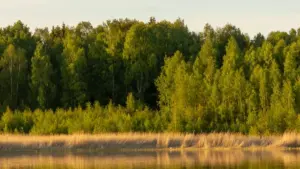 Sri Lanka creators ලාට Takatak හරහා Venezuela brands ලා contact කරලා beauty ambassador වීමට ඇති ප්‍රයෝජන, tactical steps සහ local tips.