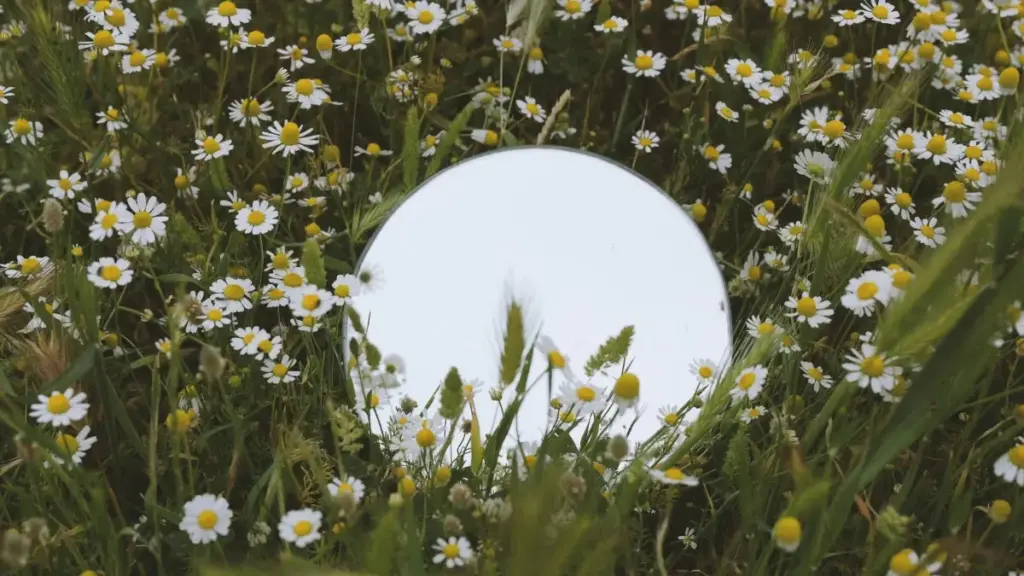 ඔස්ට්‍රේලියාවේ WeChat නිර්මාතෘ හඳුනාගෙන, එම බැඳීම් ලීඩ්වලට මාරු කිරීමේ ප්‍රායෝගික මාර්ගෝපදේශය — ශ්‍රී ලංකාවට ගැලපෙන දැනුමත්, පළපුරුද්දත් එක්ක.