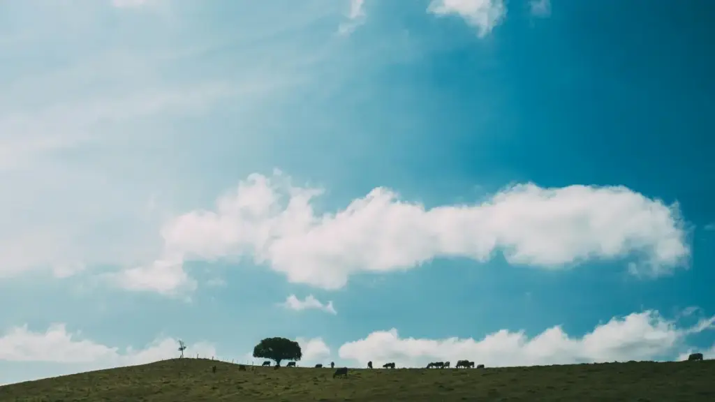 ශ්‍රී ලංකාවේ ගේම් ප්‍රචාරකයින්ට: මලේසියාවේ Telegram creators හඳුනාගෙන mobile game launch ට promote කරන්න practical ක්‍රියාමාර්ග.