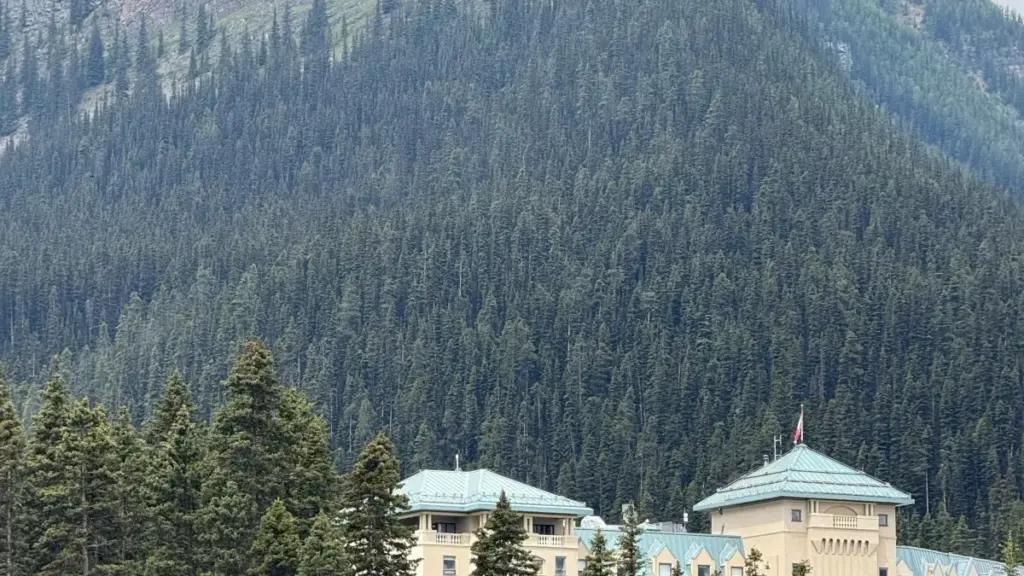 ශ්‍රී ලාංකාවෙන් South Africa OnlyFans නිර්මාණකරුවන් fixed-fee ගනුදෙනු සඳහා සොයාගෙන, ආරක්ෂිත, ප්‍රතිදායක ආකාර වලට සම්බන්ධ විය හැකි පියවර සහ අවදානම්.