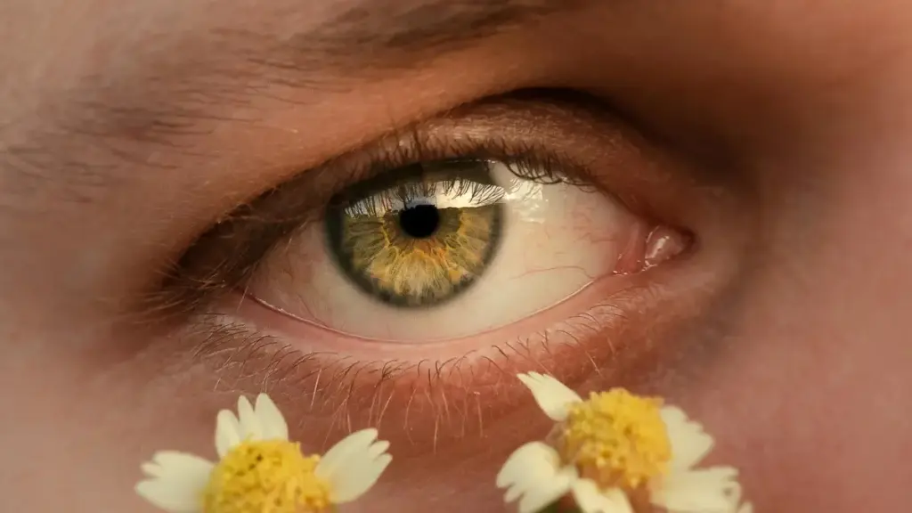 Spain-based Lazada creators සමඟ product-line collaboration කෙරෙන්නේ කොහෙද හම්බ කරන්නේද, practical steps, platform tips සහ local Sri Lanka advertiser perspective එක්ක.