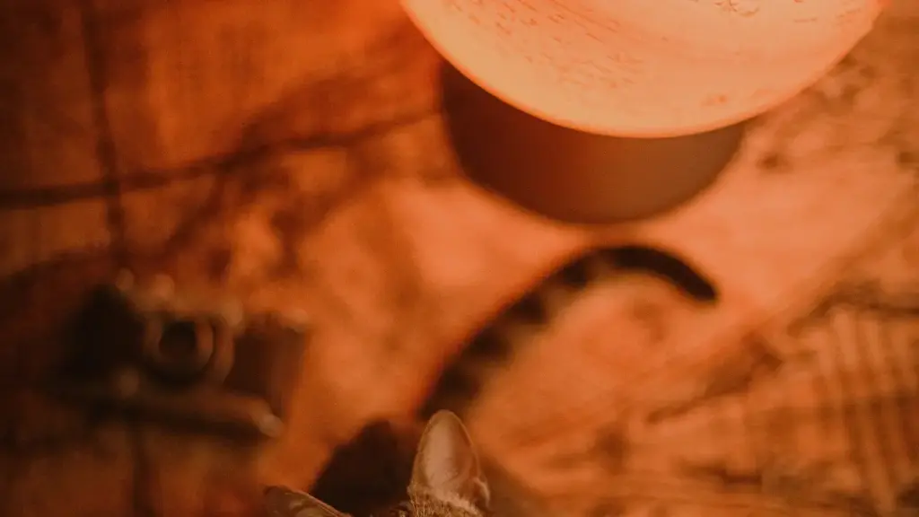 Sri Lanka-based creatorsලාට Nigeria Etsy brands අතර contact ගන්න, review දාන්න සහ learning-platforms promote කරන්න practical step-by-step ක්‍රම, tools සහ trends.