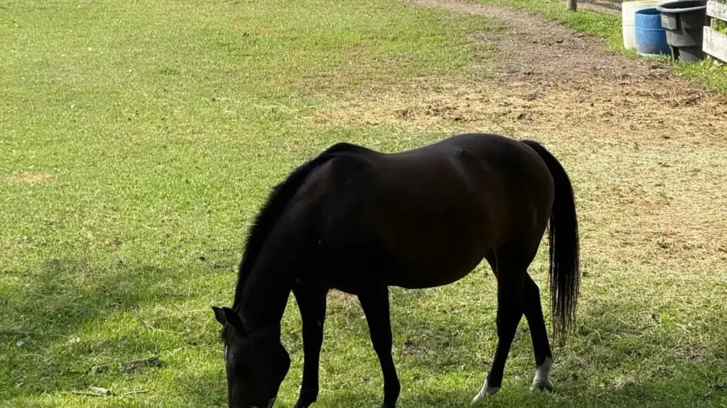 රොමේනියා Zalo creators සමඟ makeup tutorial කැම්පේන් ආරම්භ කරන්න බලාගන්න ශ්‍රී ලංකා වෙළඳයින්ට ස්ටැප්බයිස්ට් ගයිඩ් එකක් — ප්‍රතික්ෂේප, වාර්තා හා ප්‍රායෝගික ටිප්ස් සමඟ.