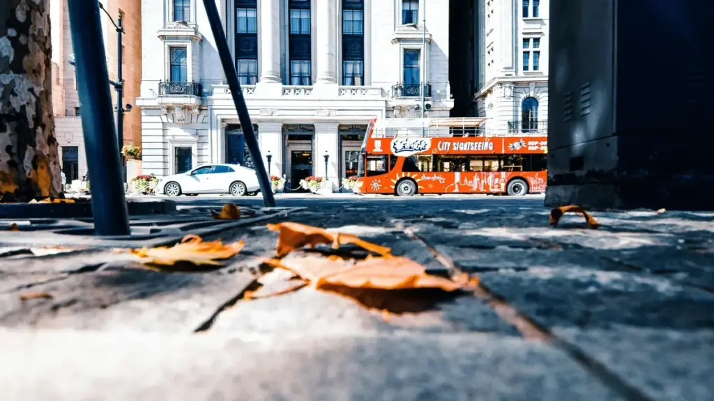 ශ්‍රී ලංකාවේ වෙළඳකරුවන් සඳහා, දකුණු අප්‍රිකා Amazon creators සමඟ product-line එක්ක ඔප්පු කරන ක්‍රියාන්විත, TIP සහ discoverability ගැඹුරු විශ්ලේෂණයක්.