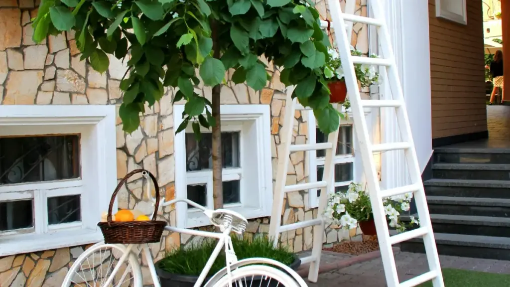 ශ්‍රි ලංකා වෙළඳ දැන්වීම්කරුවන්ට: Australia Discord creator-ලා හඳුනාගෙන new beauty launches සඳහා brand awareness ගොඩනගන practical guide එක.