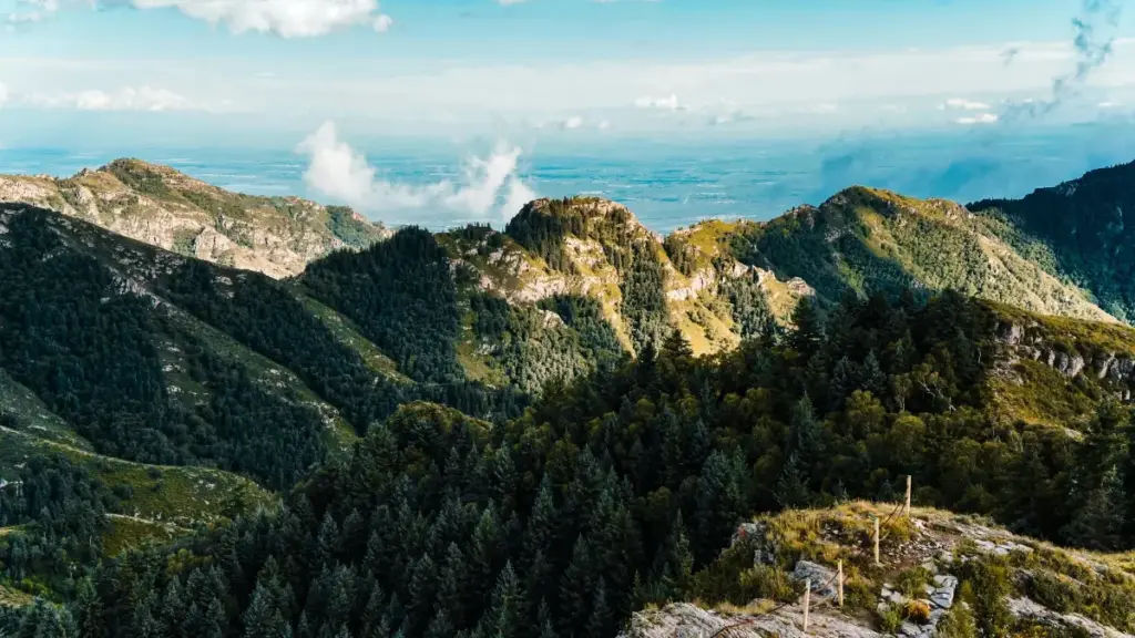 ශ්‍රී ලංකා වෙළඳ නායකයින්ට රොමේනියාවෙන් Chingari නිර්මාතෘ සොයා BTS (behind-the-scenes) sponsorship ඉදිරිපත් කරගන්න ශීඝ්‍ර මාර්ග හා ප්‍රායෝගික උපදෙස්.