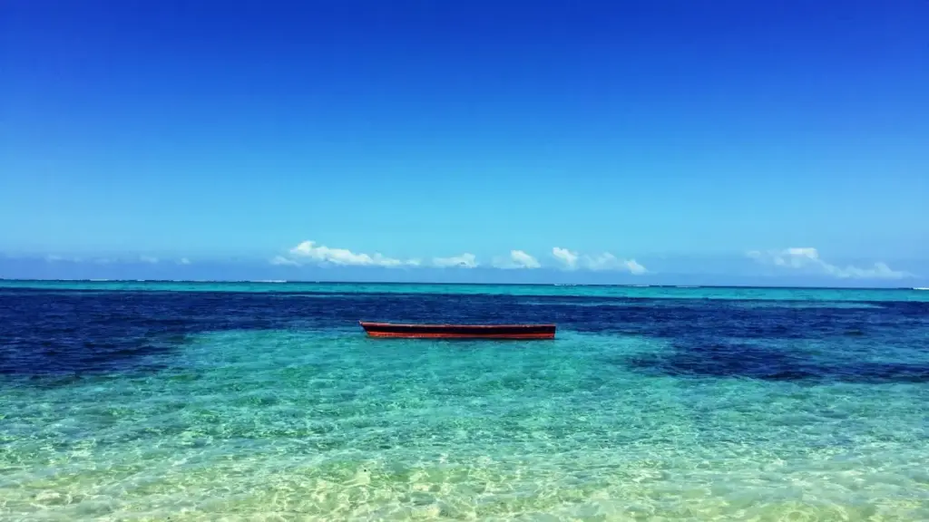 ශ්‍රී ලංකාවේ ShareChat නිර්මාණකරුවන් හඳුනාගෙන සංගීත ප්‍රේක්ෂකයින්ට ළඟා වීමට ප්‍රායෝගික ක්‍රම, ප්‍රවණතා සහ කෙටි ක්‍රියාදාම සලකා බලන ලිපියක්.