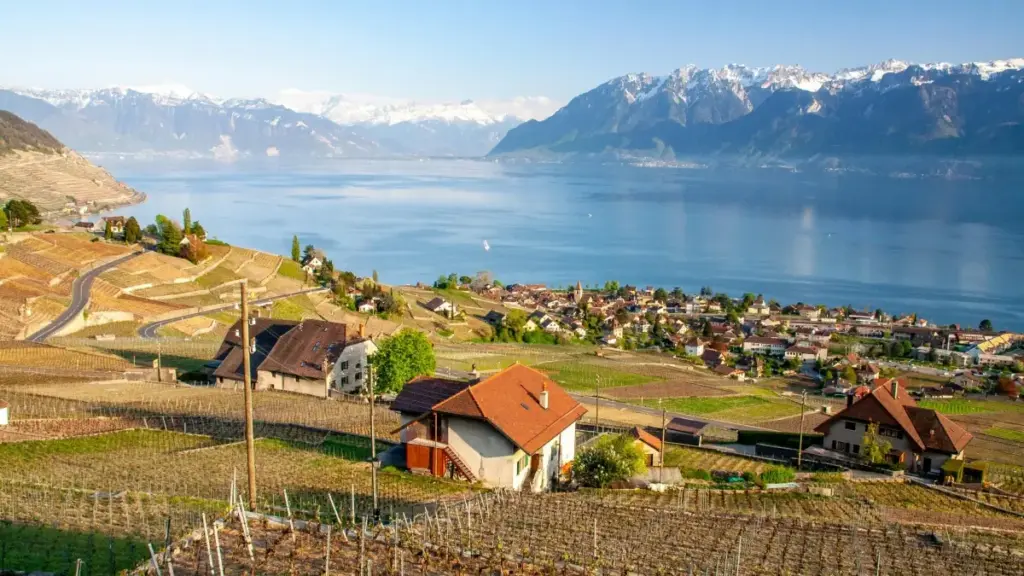 Kuaishou තුළ Argentina වෙළඳ නාම සමඟ testimonial වීඩියෝ හදාගැනීමට ශ්‍රී ලංකාවේ creatorsට තියෙන ක්‍රියාන්විත, AI උපකරණ හරහා විවරණ සහ පියවර.