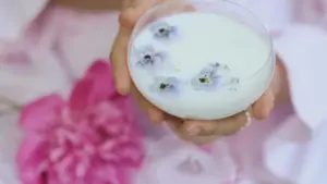 බිලිබිලි මාර්ගයෙන් ඩොමිනිකන් සුන්දරත්ව බ්‍රැන්ඩ්වලට ළඟා වී brand ambassador වීමට practical අදියර, දේශීය උපදෙස් සහ 2026 හි ප්‍රවණතා විග්‍රහය.