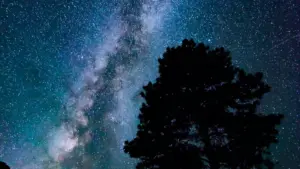 ශ්‍රී ලංකා වෙළඳපොළ සඳහා, හังกරියේ WeChat creators සොයා දේශීය ටූර් ප්‍රවර්ධනය කිරීමේ ක්‍රියාදාම, ප්‍රායෝගික දැක්ම හා ක්‍රියාන්විත උපදෙස්.