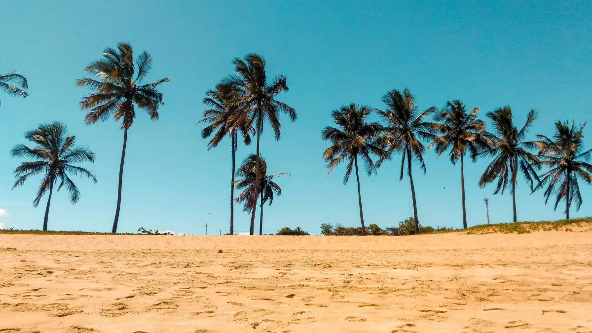 Sri Lankan creators සදහා France බ්\u200dරෑන්ඩ්\u200cස්ට Pinterest ඔස්සේ ලග්ගන්න හොඳම ක්\u200dරම