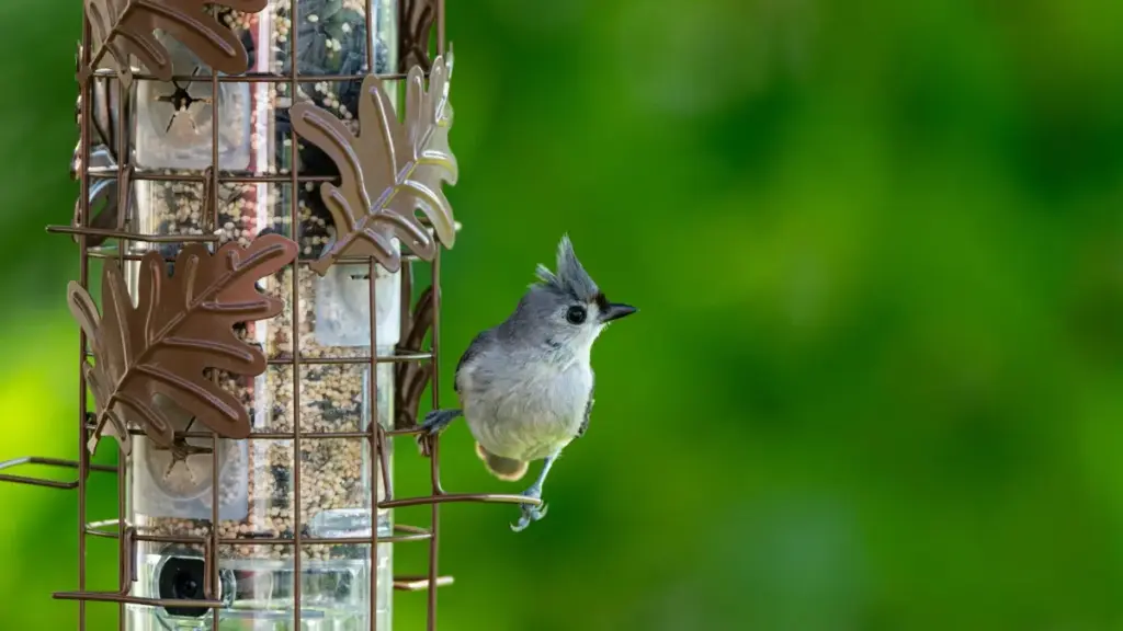 ශ්‍රී ලංකාවේ content creator ටිකකට practical ගැඹුරු උපදෙස් — Spain brandවලට YouTube හරහා ඇප්‍රෝච්ච් කරන්න, සබැඳි සාකච්චා ගන්න, සහ media kit එක credible කරන්න.