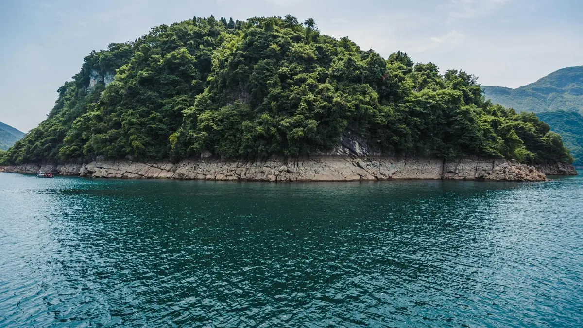 කොලොම්බියා Kuaishou නිර්මාණකරුවන් හොයාගැනීම—උතුම් වට්ටම් ගන්න