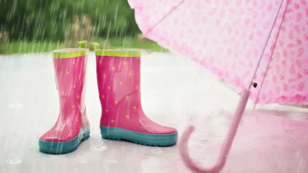 Sri Lanka වෙළඳයන්ට Ethiopia Moj creators හඳුනාගෙන clean beauty brand දෘශ්‍යතාව වැඩි කරන ප්‍රායෝගික ක්‍රම, local insights සහ actionable steps.