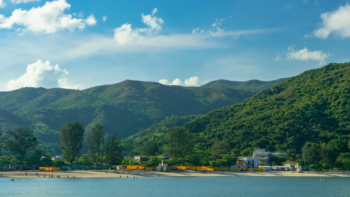 ඩොමිනිකන් taobao නිර්මාණකරුවන් සොයාගන්න සිදුකිරීම්