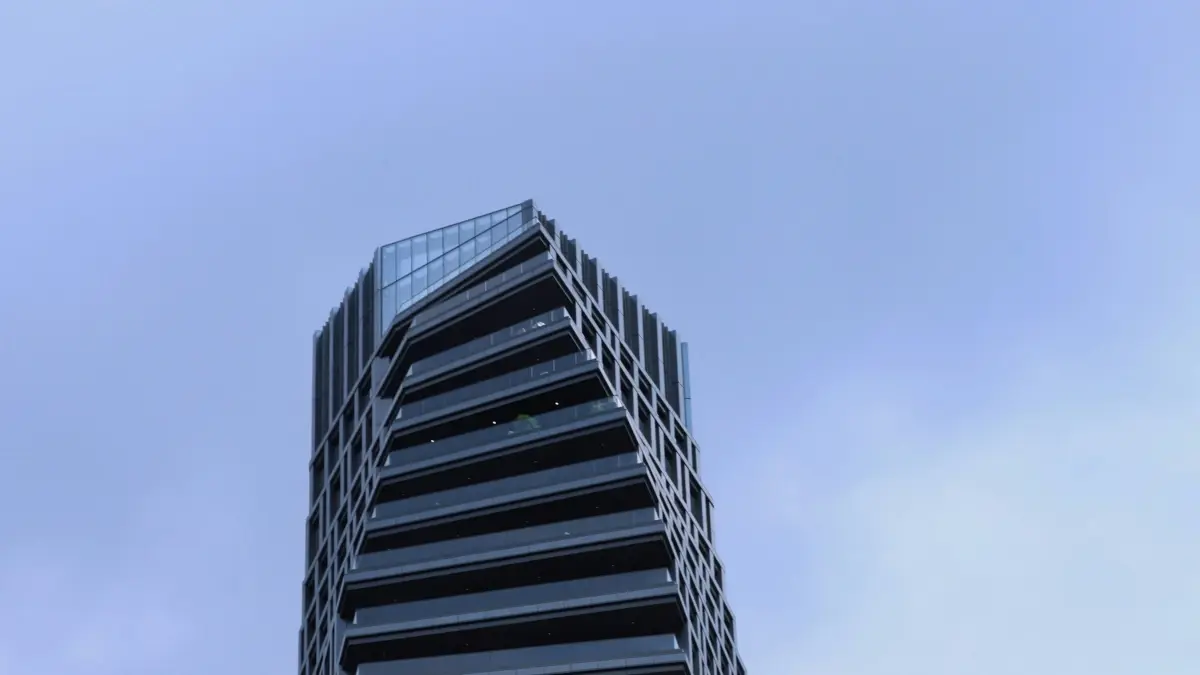 ශ්\u200dරී ලංකා වෙළඳකරුවන්ට: ජෝර්ජියා Amazon නිර්මාණකරුවන් හොයාගන්න
