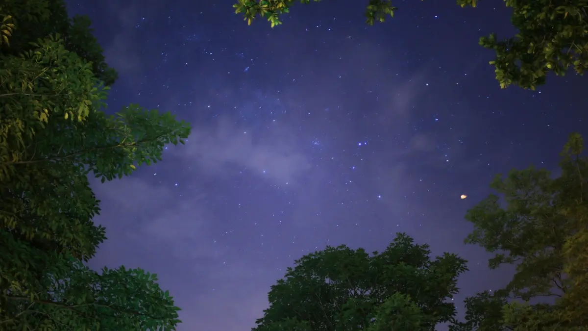 මිャンමාර් බ්\u200dරෑන්ඩ්ස් හම්බවන්න Zalo වලින් — නවකයින්ට පටන්ගන්න ලියමනක්