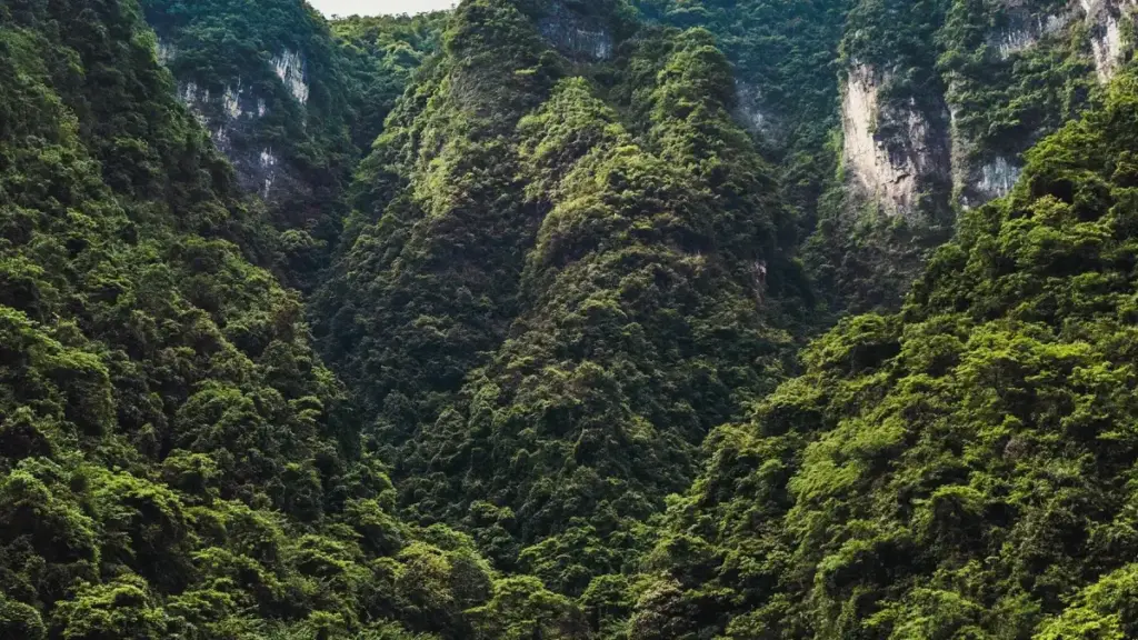 ස්වීඩන් බ්‍රෑන්ඩ්ලට Twitterෙන් ළඟා වෙලා learning platforms review කරන්නෙහියැයි ක්‍රියාත්මක, practical ක්‍රම හා local insights.