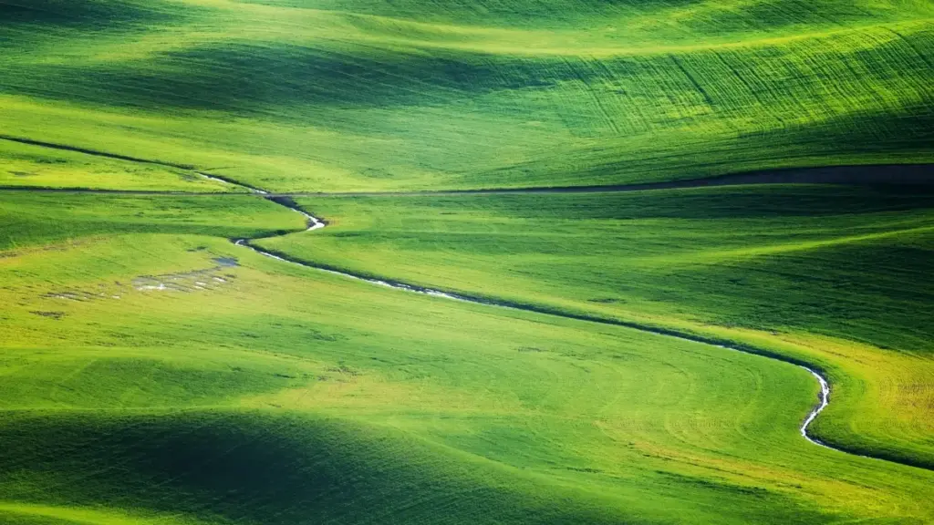 ශ්‍රී ලාංකික සෑදැගරුන්ට Bilibili ඔස්සේ Thailand බ්‍රෑන්ඩ්ලාට ළඟාවී trending නිෂ්පාදන review කරන හැටි — ක්‍රියාමාර්ග, fandom tactics, shop-tainment කිසිම රහසක් අහිමි නැහැ.