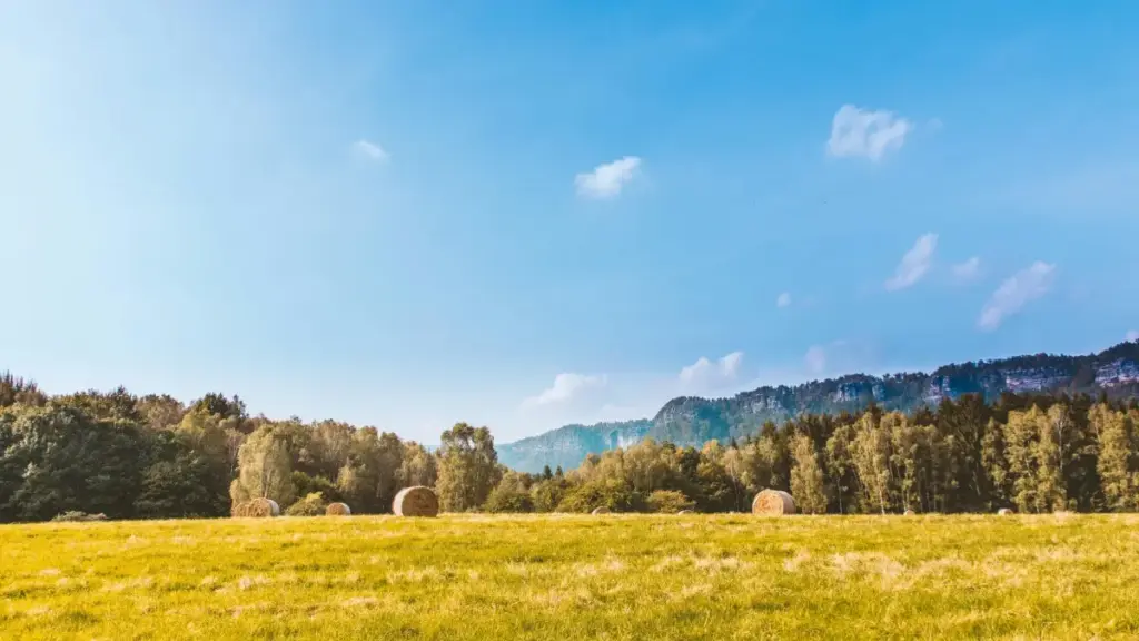 රෝමේනියානු Taobao creators ලා සොයා ඉක්මනින්, ප්‍රායෝගිකව සහ කුඩා වියදමකින් නව ඇඟළුම් කලික්ෂන් ප්‍රවර්ධනය කරගැනීමට අදාල ක්‍රම හා දියුණු අදහස්.