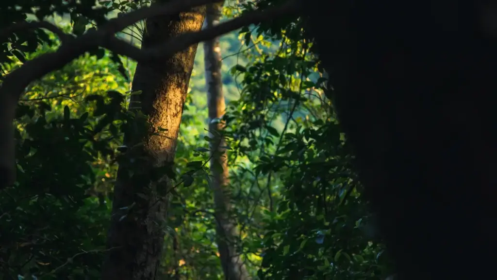 බොලිවියා Etsy ක්‍රියේටර්වරු හොයාගෙන mid-tier creators එක්ක දිගුකාලීන partnership ගොඩනඟන්නේ කොහොමද කියන practical playbook එක.