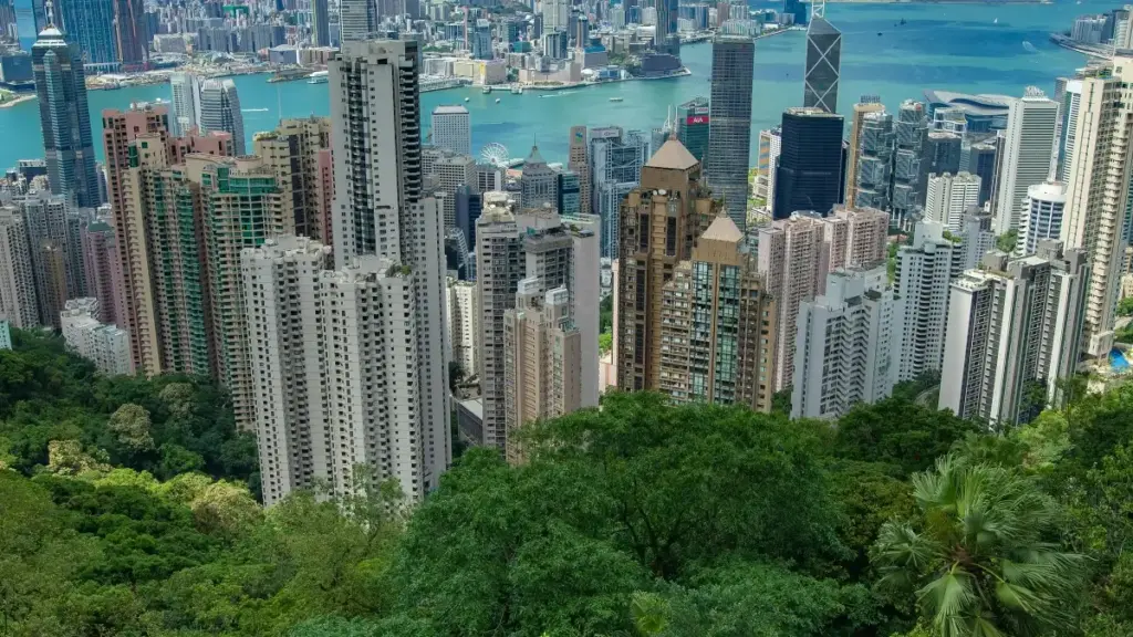 ශ්‍රී ලංකාවේ ක්‍රියාකාරී content creators ඔබට Disney Plus ඔස්සේ ග්‍රීස් බ්‍රෑන්ඩ් සමඟ styling challenges සඳහා එක්වෙන්න පුළුවන් practical සැලැස්මක් — සතුව තියෙන real-world signals, contact hacks සහ localised tips.